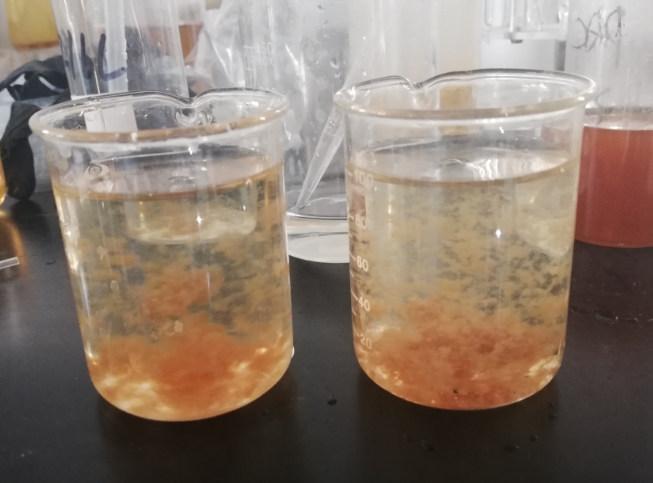 无锡k8凯发一触即发旗舰化工带您了解焦化废水脱色过程